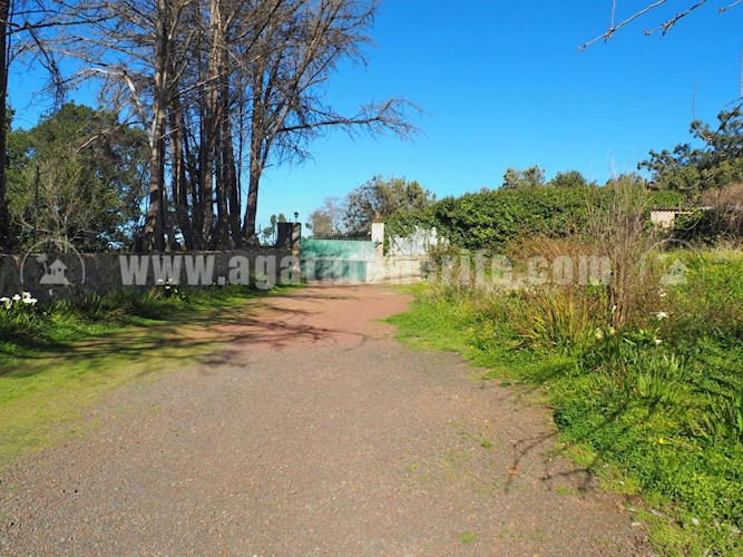 6 bed finca for sale in El Sauzal