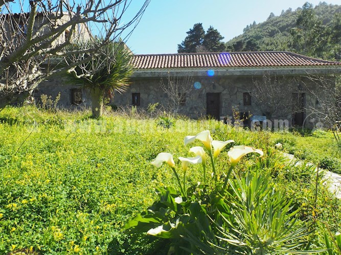6 bed finca for sale in El Sauzal