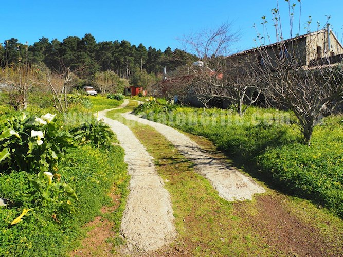 6 bed finca for sale in El Sauzal