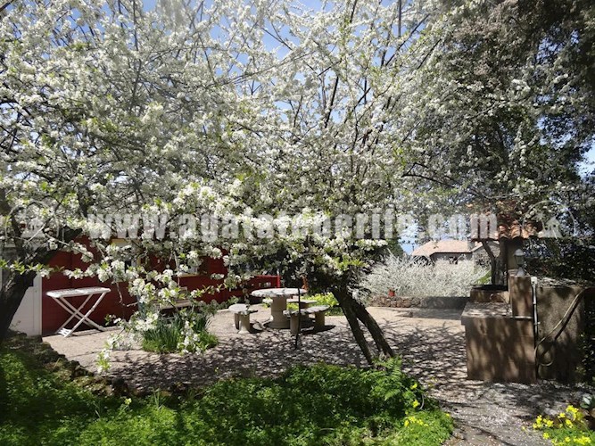 6 bed finca for sale in El Sauzal