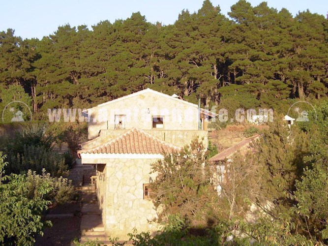 6 bed finca for sale in El Sauzal