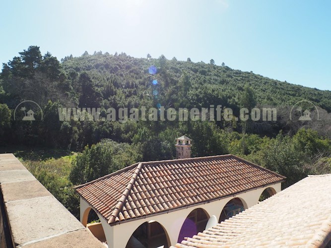 6 bed finca for sale in El Sauzal
