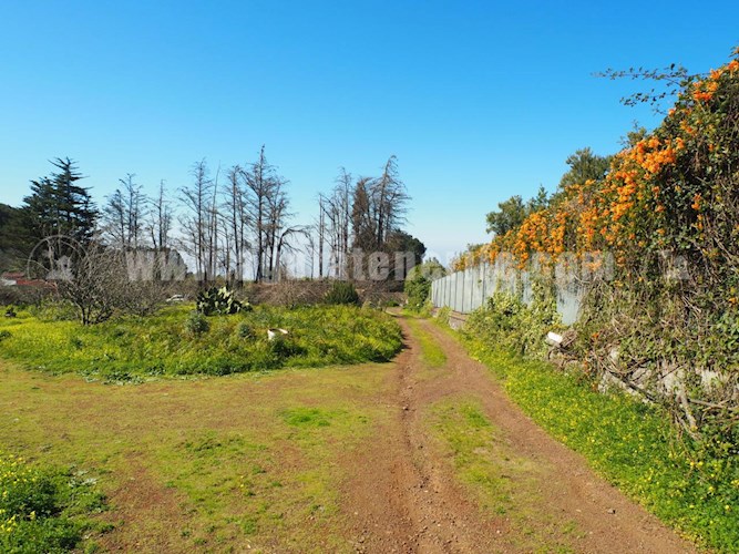 6 bed finca for sale in El Sauzal