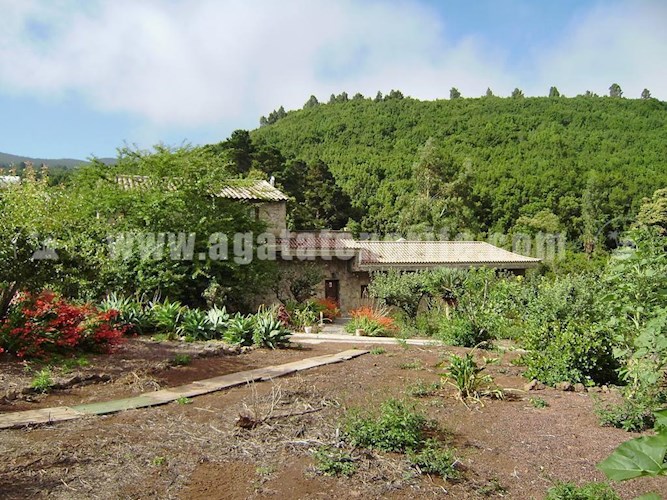 6 bed finca for sale in El Sauzal