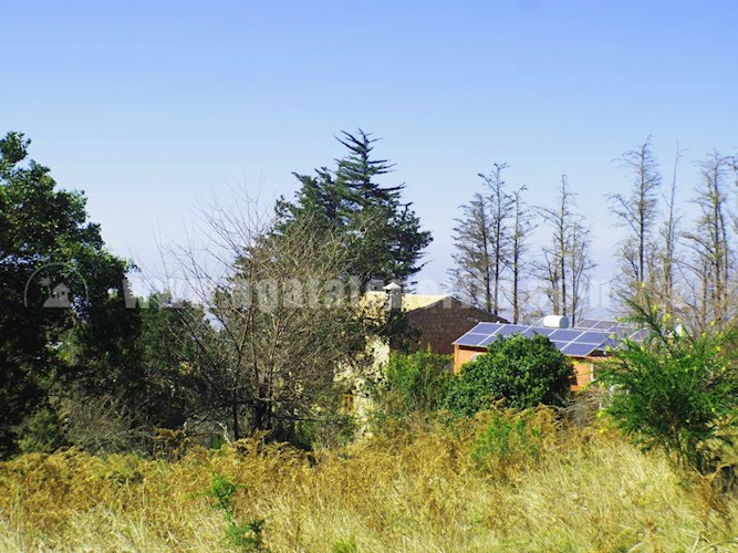 6 bed finca for sale in El Sauzal