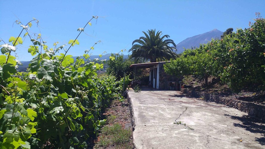 1 bed finca for sale in Icod de Los Vinos
