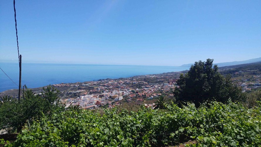 1 bed finca for sale in Icod de Los Vinos