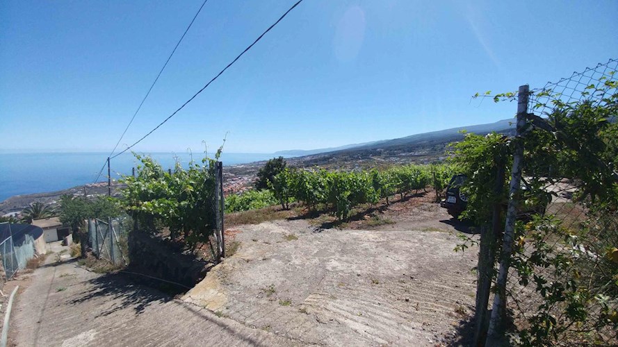 1 bed finca for sale in Icod de Los Vinos
