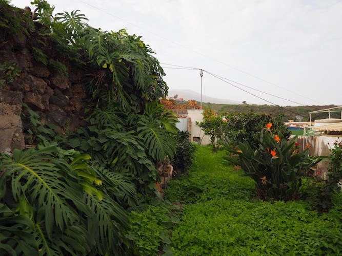 4 bed finca for sale in Icod de Los Vinos