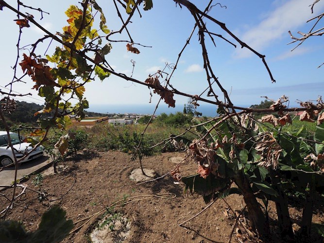 4 bed finca for sale in Icod de Los Vinos