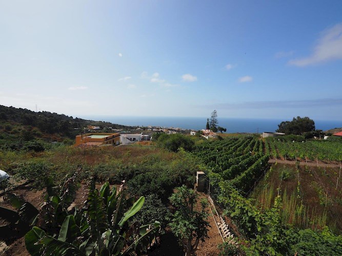 4 bed finca for sale in Icod de Los Vinos