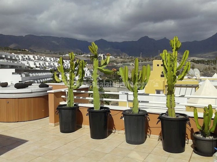 4 bed apartment for sale in Tenerife South