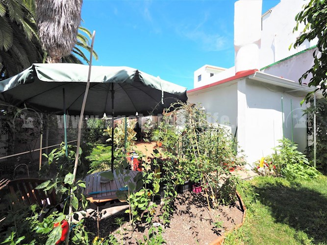 2 bed villa for sale in Icod de Los Vinos