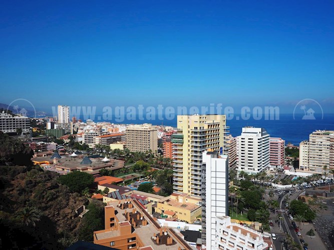 6 bed commercial property for sale in Puerto de La Cruz