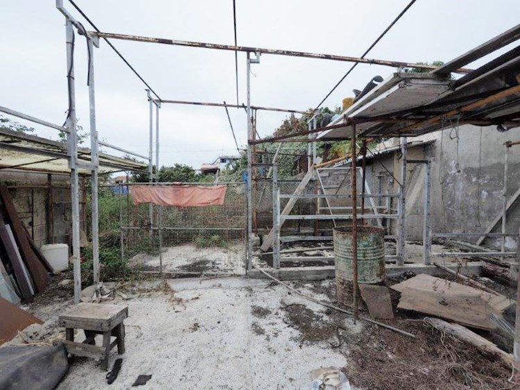 Building Plot for sale in El Amparo