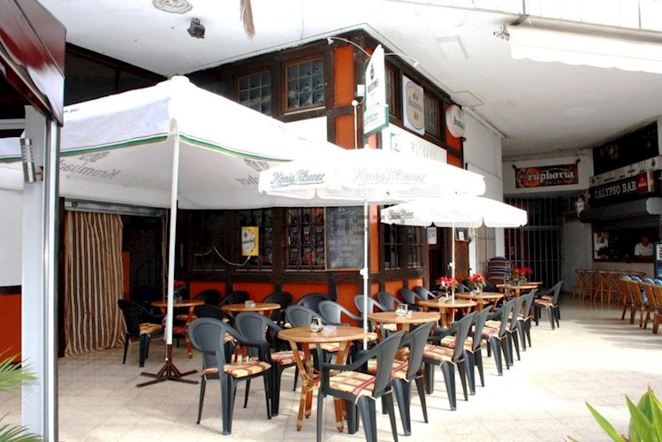Bar/Cafe for sale in Adeje, Playa  Fanabe