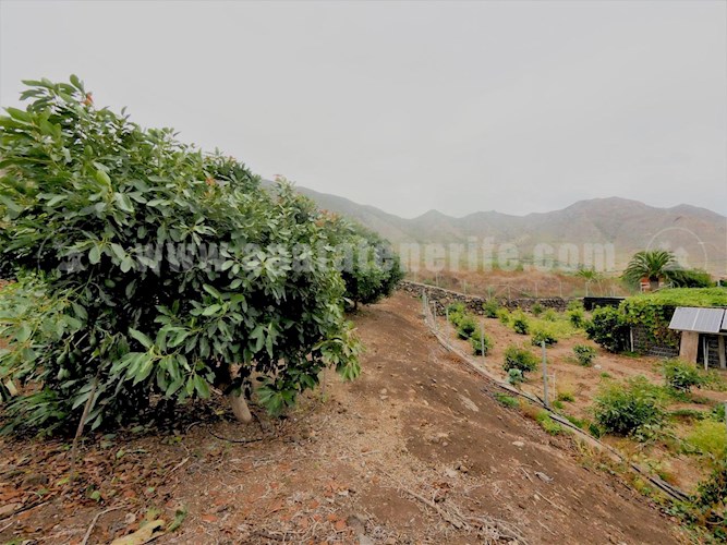 1 bed finca for sale in Buenavista del Norte