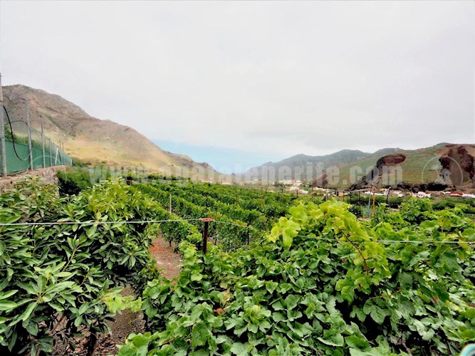 1 bed finca for sale in Buenavista del Norte