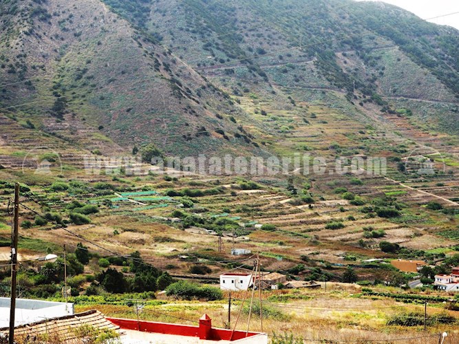 1 bed finca for sale in Buenavista del Norte