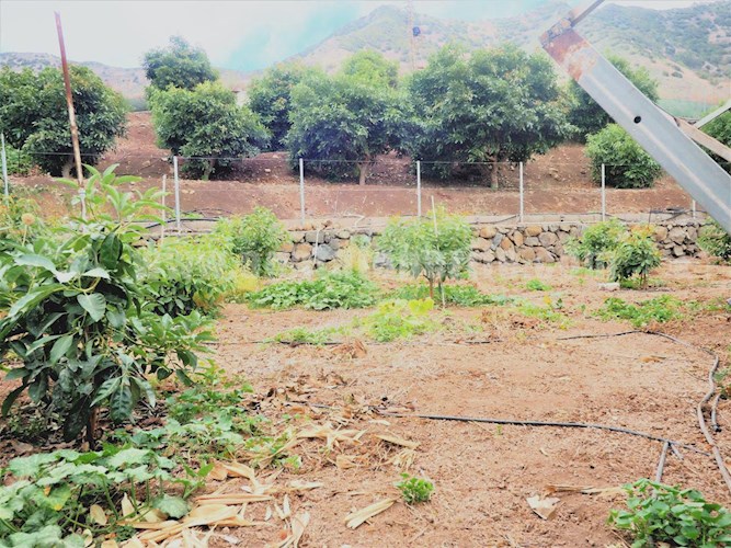 1 bed finca for sale in Buenavista del Norte