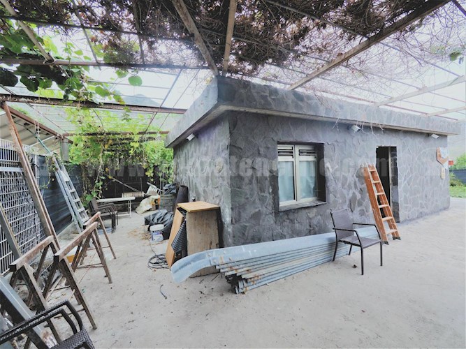 1 bed finca for sale in Buenavista del Norte