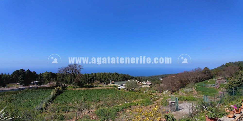 6 bed finca for sale in Icod de Los Vinos