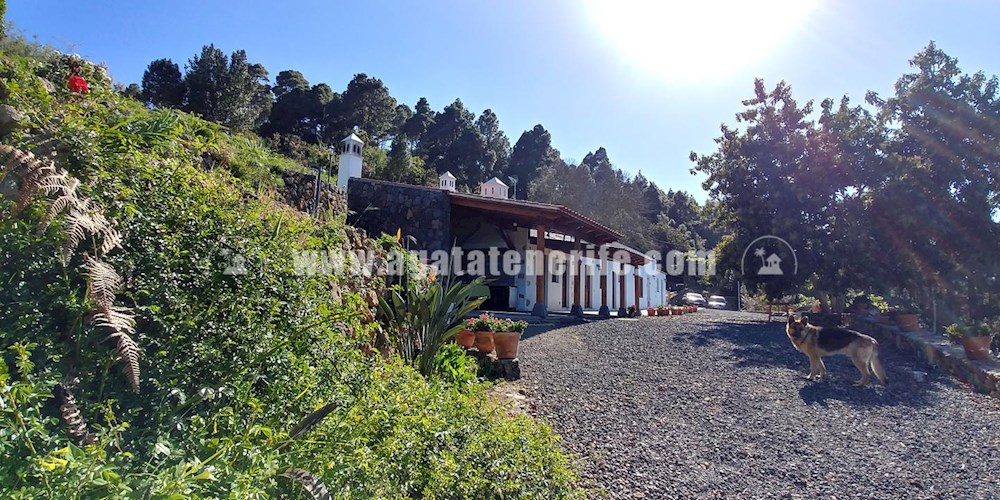 6 bed finca for sale in Icod de Los Vinos