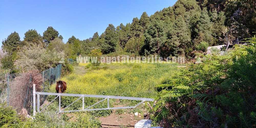 6 bed finca for sale in Icod de Los Vinos