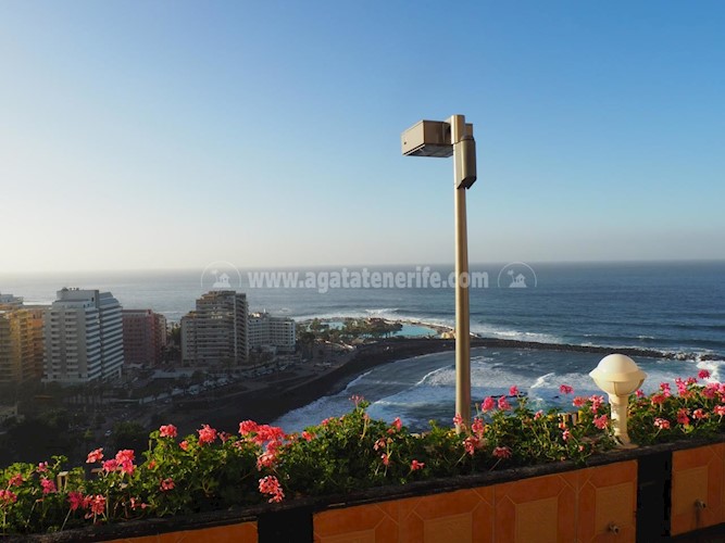 Apartment for long term rent in La Paz, Puerto de La Cruz