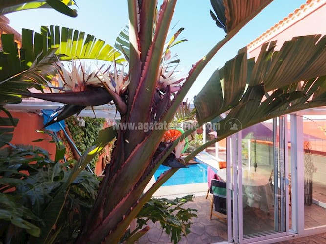 3 bed villa for sale in La Laguna