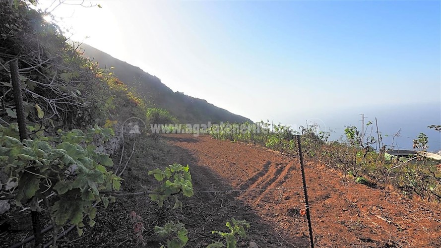 Building Plot for sale in Icod de Los Vinos