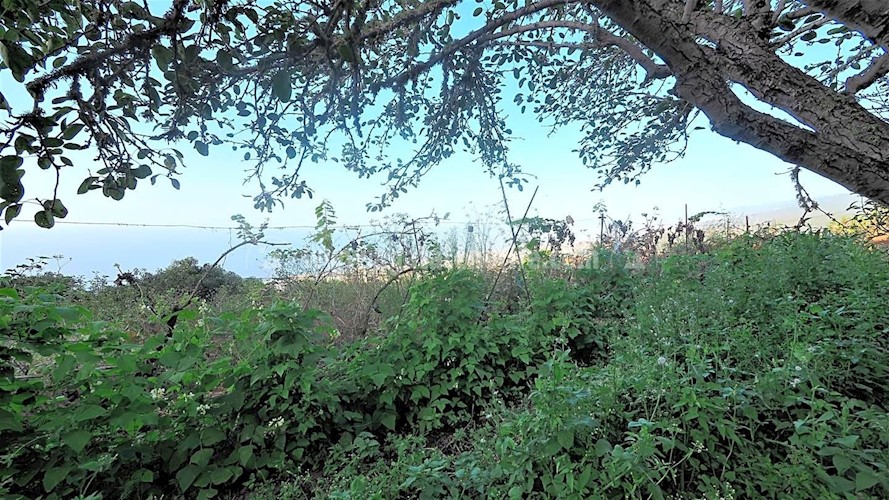 Building Plot for sale in Icod de Los Vinos