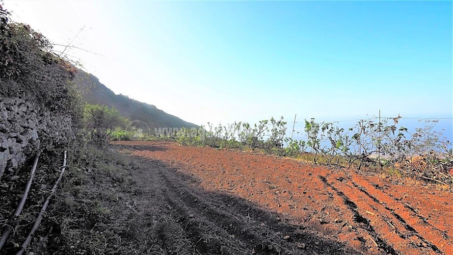 Building Plot for sale in Icod de Los Vinos