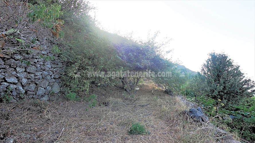 Building Plot for sale in Icod de Los Vinos