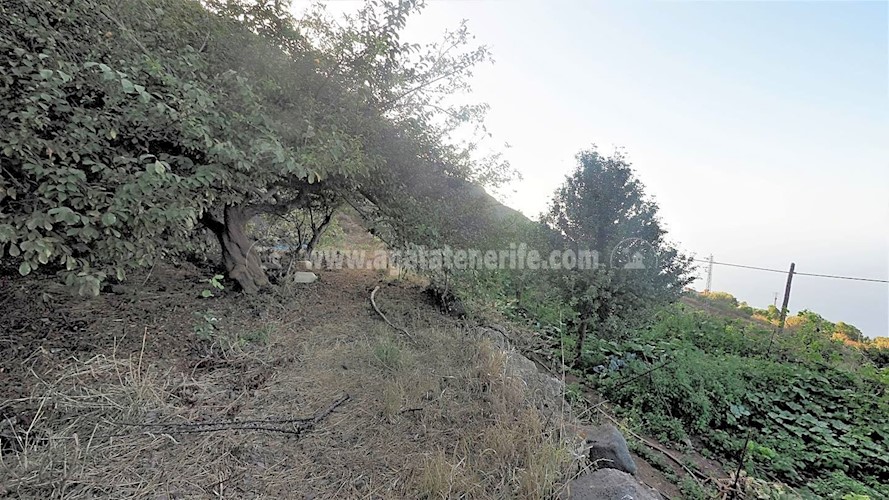 Building Plot for sale in Icod de Los Vinos