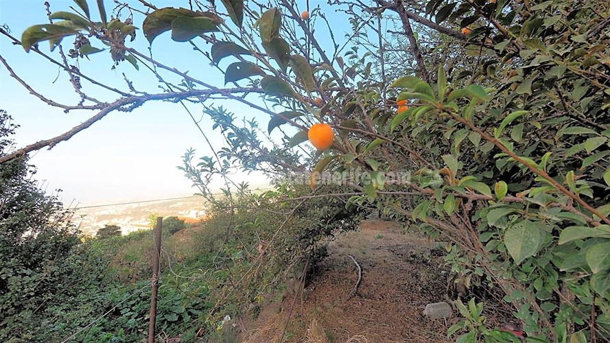 Building Plot for sale in Icod de Los Vinos