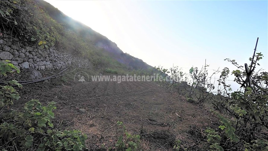Building Plot for sale in Icod de Los Vinos