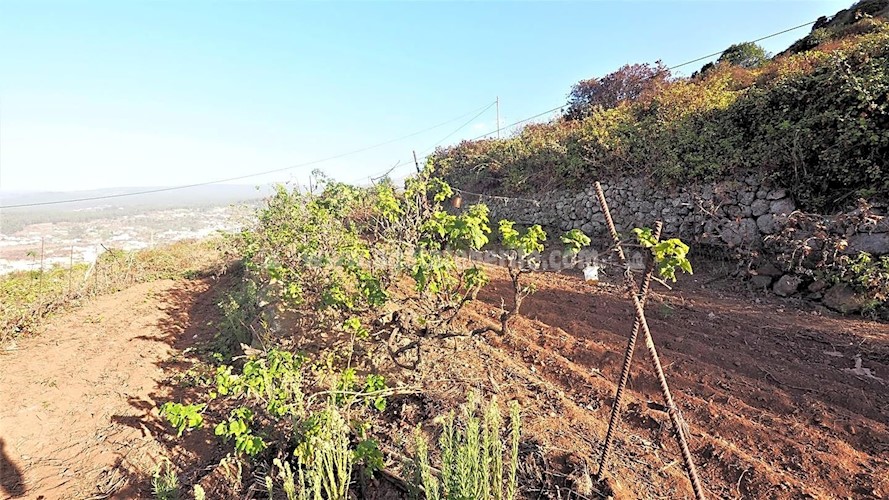 Building Plot for sale in Icod de Los Vinos