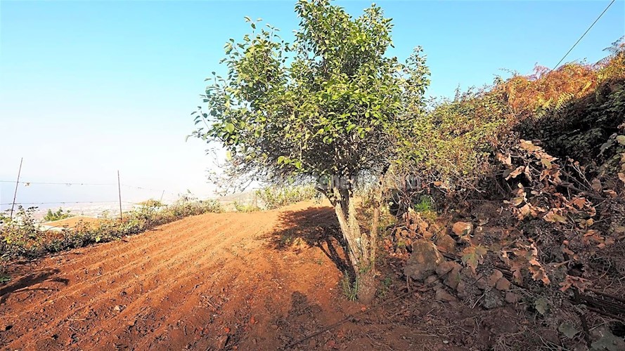 Building Plot for sale in Icod de Los Vinos