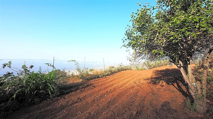 Building Plot for sale in Icod de Los Vinos