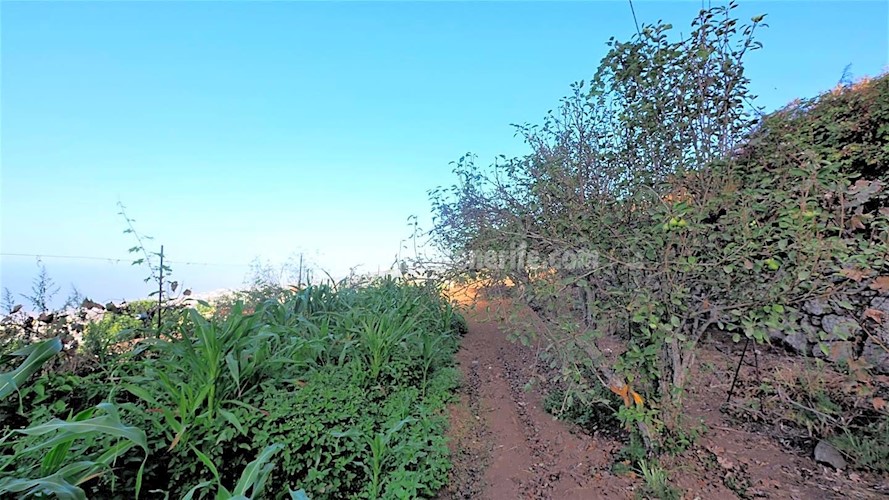 Building Plot for sale in Icod de Los Vinos