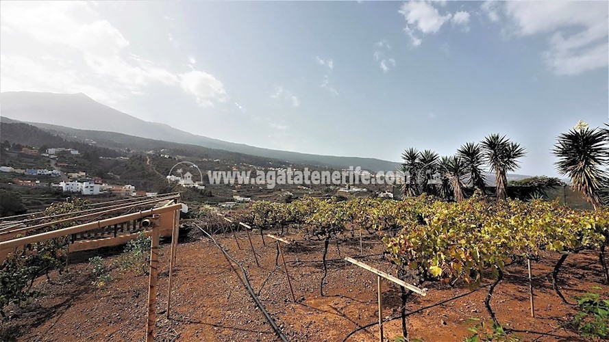 3 bed villa for sale in La Guancha