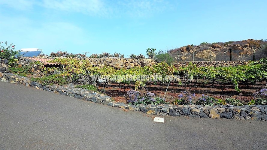 3 bed villa for sale in La Guancha