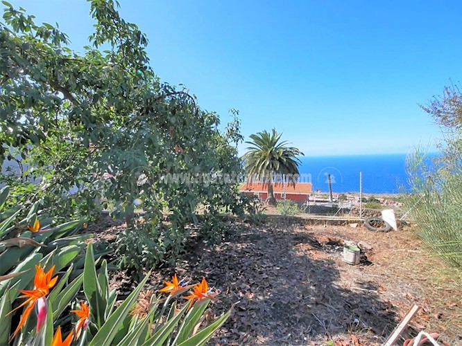 4 bed villa for sale in La Victoria