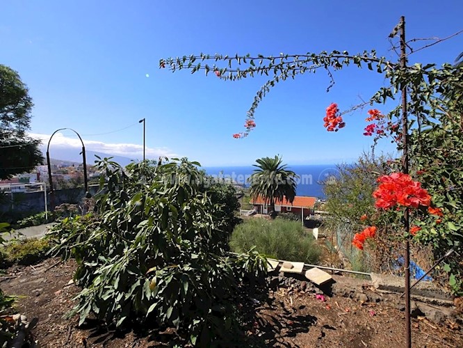 4 bed villa for sale in La Victoria