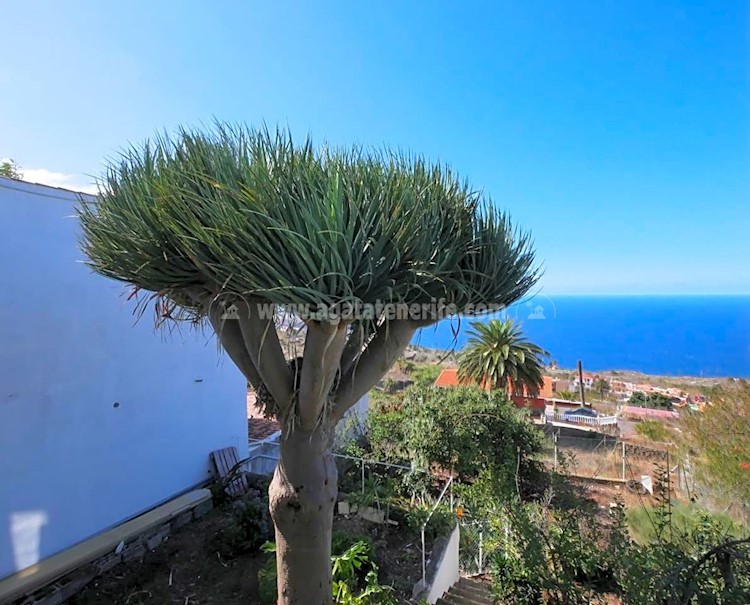 4 bed villa for sale in La Victoria