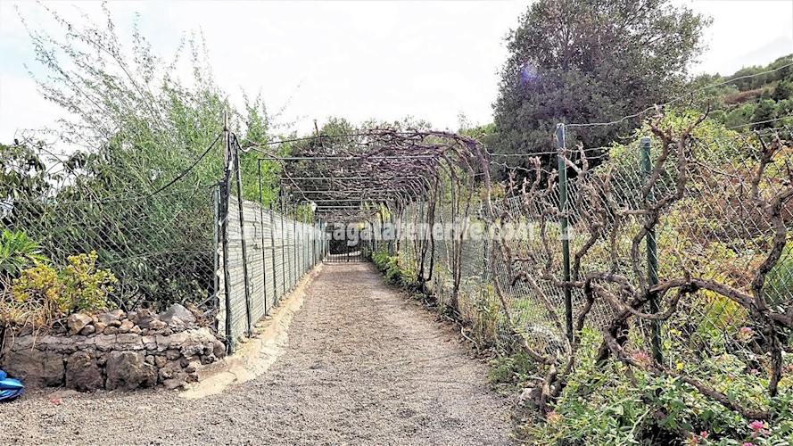 4 bed finca for sale in Icod de Los Vinos