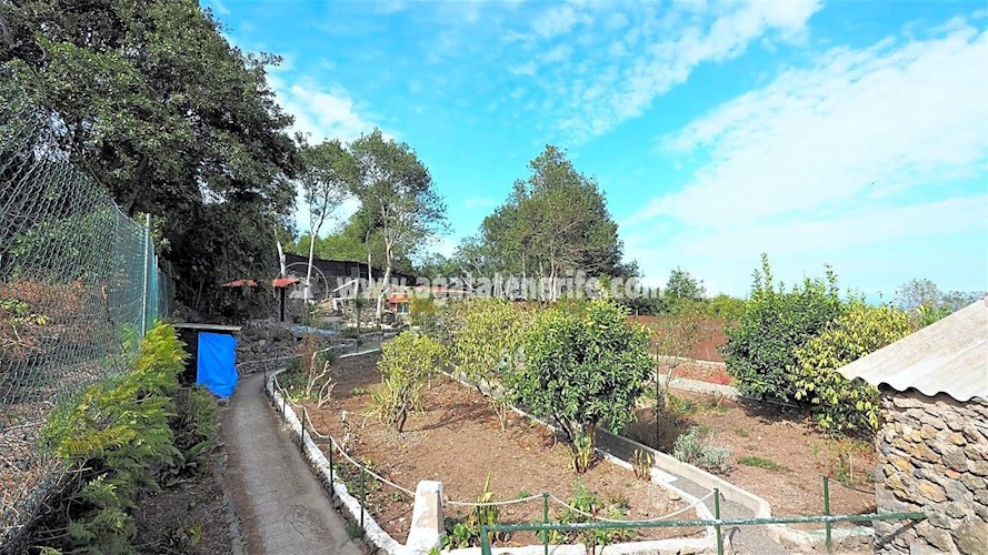 4 bed finca for sale in Icod de Los Vinos