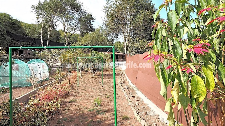 4 bed finca for sale in Icod de Los Vinos