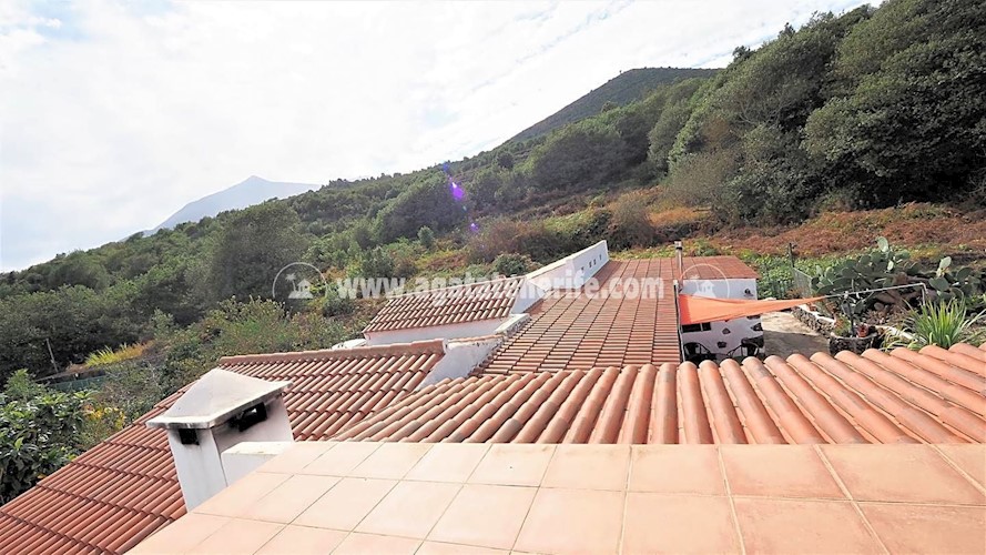 4 bed finca for sale in Icod de Los Vinos